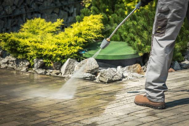Best Driveway Pressure Washing  in Fellsmere, FL