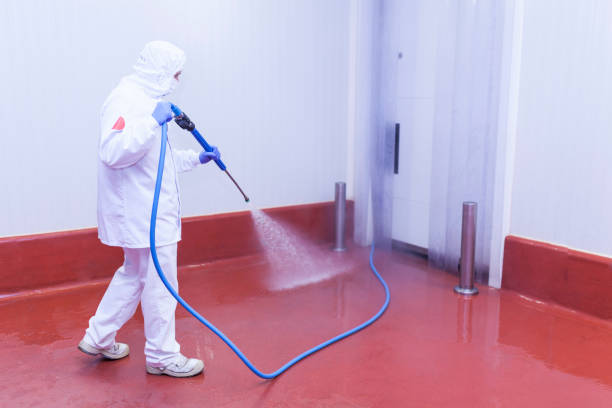 Best Sign and Awning Cleaning  in Fellsmere, FL