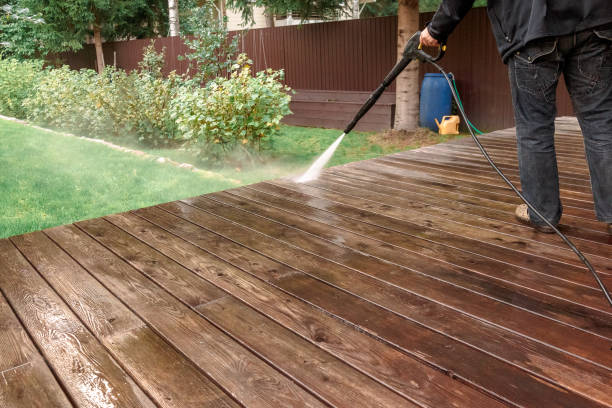 Best Building Exterior Washing  in Fellsmere, FL